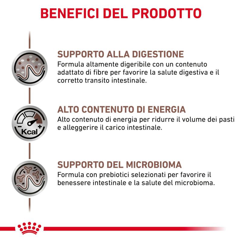 Royal Canin Veterinary Diet Cat Gastrointestinal 400 gr