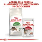 Royal Canin Cat Adult Outdoor 2 kg