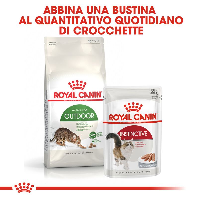 Royal Canin Cat Adult Outdoor 2 kg