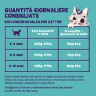 Edgard & Cooper Cat Kitten Bocconcini in Salsa Merluzzo e Pollo 85 gr