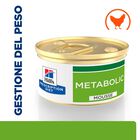Hill's Prescription Diet Metabolic Alimento Umido per gatti con Pollo 85 gr