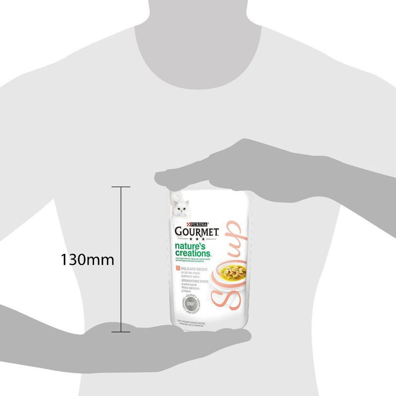 Gourmet Nature's Creation Soup Cat Adult Salmone e Verdure 40 gr