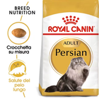 Royal Canin Cat Adult Persian 10 kg