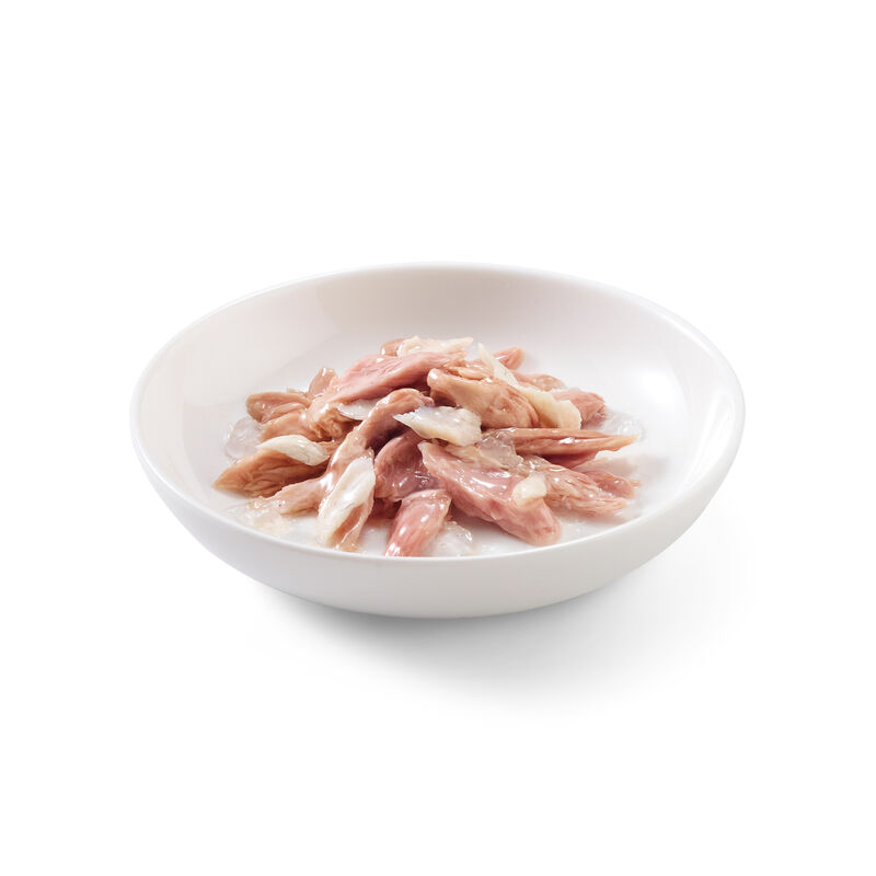 Schesir Cat Tonnetto con Orata 85 gr