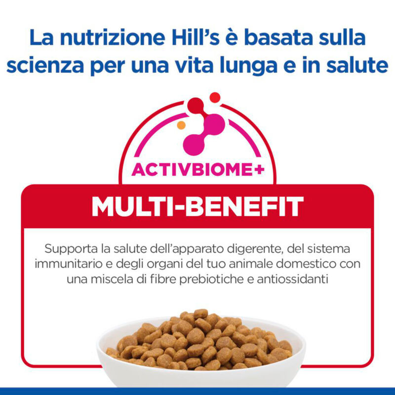 Hill's Science Plan Cat Adult 1-6 con Salmone 10 kg