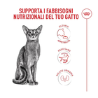 Royal Canin Cat Fussy Exigent 4kg