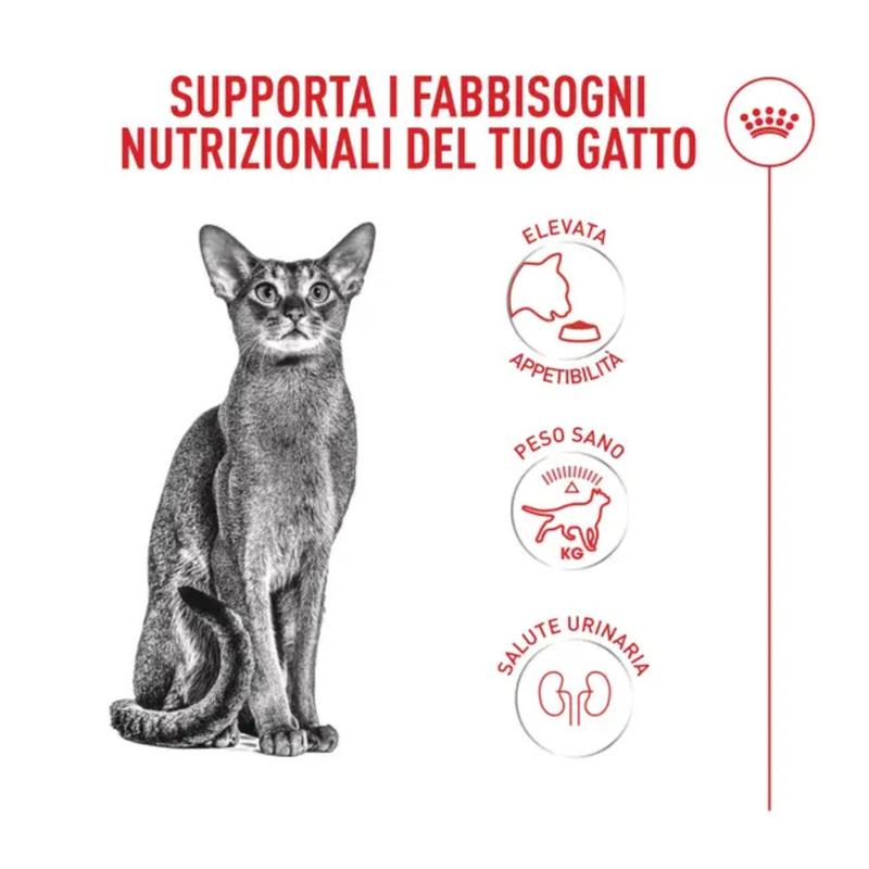 Royal Canin Cat Fussy Exigent 4kg