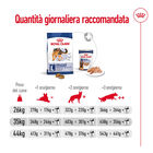 Royal Canin Dog Maxi Adult 15 kg+3 kg Omaggio