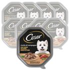 Cesar Dog Ricette di Campagna con Manzo e Tacchino 150 gr