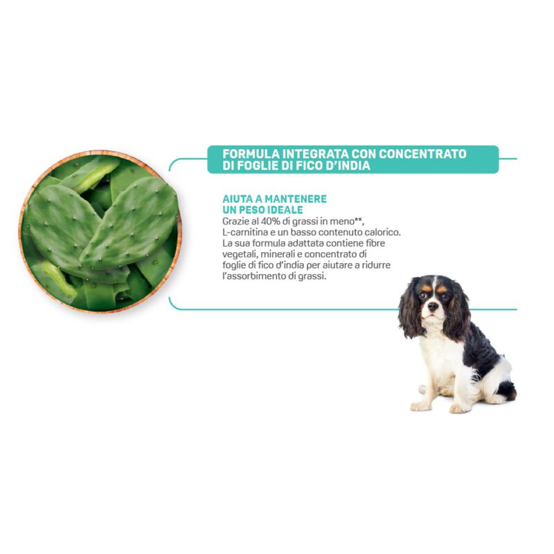 Natural Trainer Dog Ideal Weight Small & Toy Adult con Carni bianche 800 gr