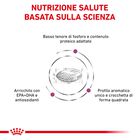 Royal Canin Veterinary Diet Dog Renal 14 kg