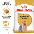 Royal Canin Dog Adult e Senior Yorkshire Terrier 1,5 kg