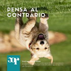 Joepet Puppy Bio Veg Olio 250 ml