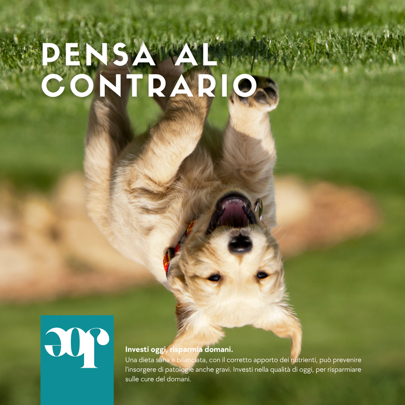 Joepet Puppy Bio Veg Olio 250 ml