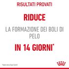 Royal Canin Hairball Care Adult Cat 10 kg