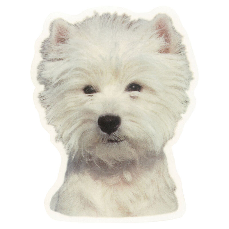 Camon Vetrofanie white terrier