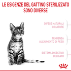 Royal Canin Cat Kitten Sterilised 2 kg