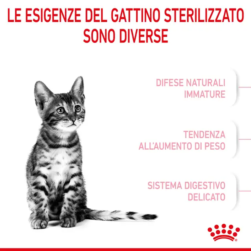 Royal Canin Cat Kitten Sterilised 2 kg