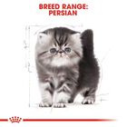 Royal Canin Cat Kitten Persian 400 gr