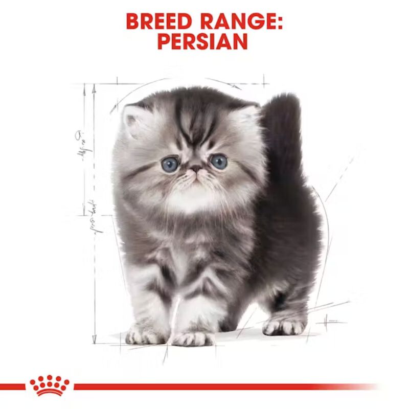Royal Canin Cat Kitten Persian 400 gr