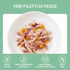 Schesir Cat Tonnetto con Zucca in Jelly 70 gr