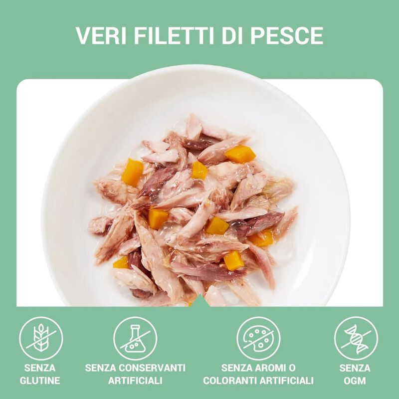 Schesir Cat Tonnetto con Zucca in Jelly 70 gr