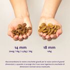 Edgard & Cooper Dog Adult Agnello 7 kg