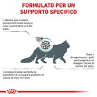 Royal Canin Veterinary Diet Cat Adult Satiety Weight Management 6 kg