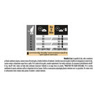 Purina Pro Plan Vital Functions Cat Adult 1+Sterilised Salmone 400 gr