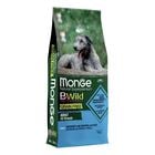 Monge BWild Crocchette Grain Free per cani adulti Acciughe con patate e piselli 12 kg