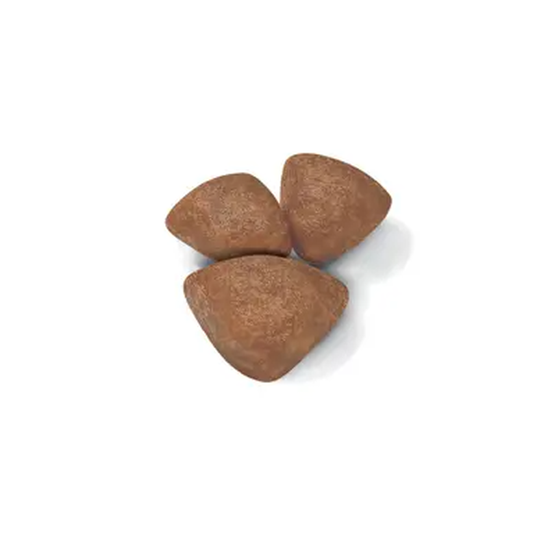 Royal Canin Dog Mini Starter 1 kg