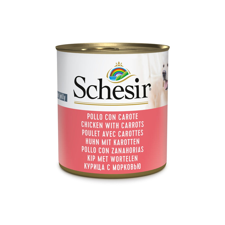 Schesir Dog Pollo con Carote 285 gr