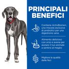 Hill's Science Plan Dog Perfect Digestion Medium Adult 1+ con Pollo e Riso integrale 2,5 kg
