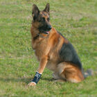 Balto Joint Tutore del carpo XS image number 0