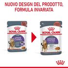 Royal Canin Cat Adult Appetite Control Care Gravy 85 gr