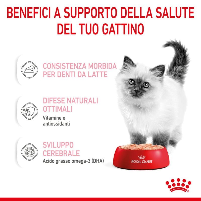 Royal Canin Cat Kitten Loaf  85 gr