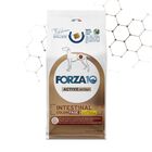 Forza10 Active Vet Diet Dog Adult Intestinal Colon Fase 2 Agnello 10 kg