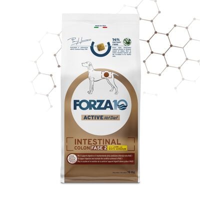 Forza10 Active Vet Diet Dog Adult Intestinal Colon Fase 2 Agnello 10 kg