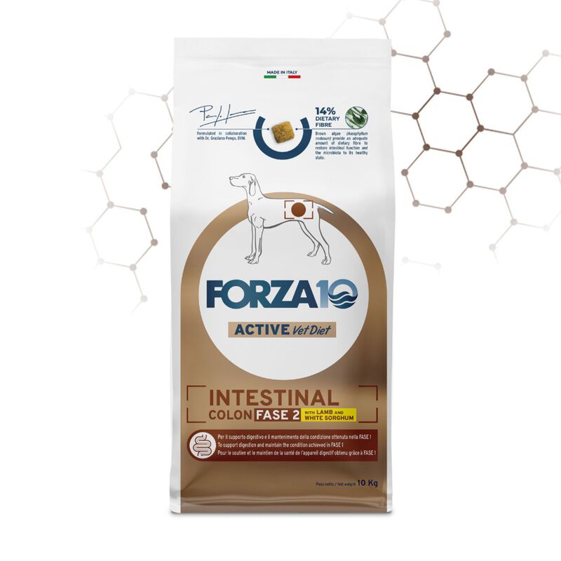 Forza10 Active Vet Diet Dog Adult Intestinal Colon Fase 2 Agnello 10 kg
