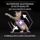 Purina Pro Plan Healthy Start Cat Kitten 1-12 mesi Pollo 400 gr