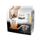 Sheba Delice du Jour Cat Adult Selezione Delicata in Salsa 50x15 pz 