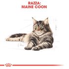 Royal Canin Cat Adult Maine Coon 2 kg