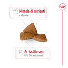 Royal Canin Dog Senior 12+ X-Small 500 gr