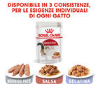 Royal Canin Cat Adult Instinctive Gravy 85gr