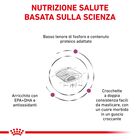 Royal Canin Veterinary Diet Cat Renal Select 400 gr