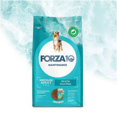 Forza10 Dog Adult Medium Pesce 12kg