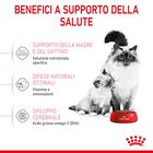 Royal Canin Cat Adult e Kitten Mother and Babycat 2 kg