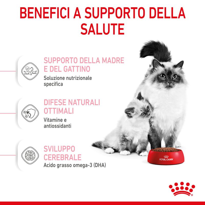 Royal Canin Cat Adult e Kitten Mother and Babycat 2 kg