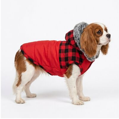 L'Isola dei Tesori Cappottino per cani Aspen tg. 25