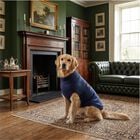 Camon Maglioncino per cani Blue patch tg. 40 Blu